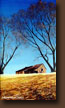 Slate Creek Farm
